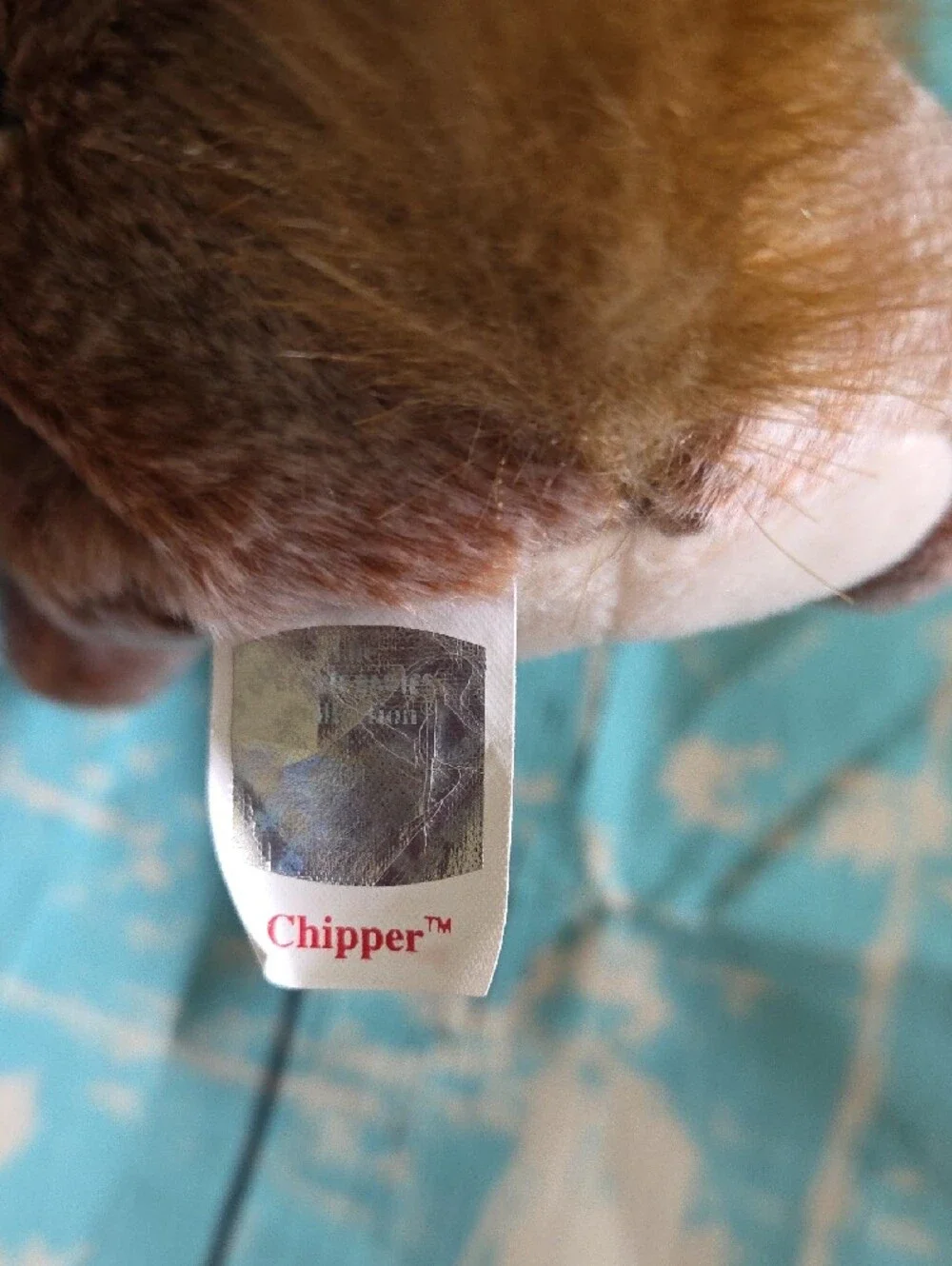 Ty Chipper Beanie Baby
